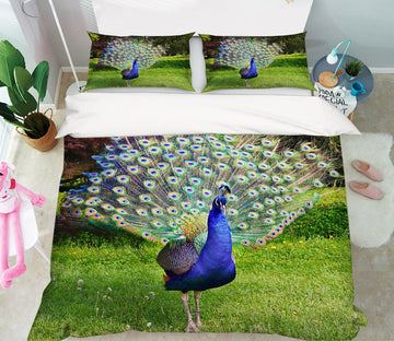 3D Park Peacock 097 Bed Pillowcases Quilt