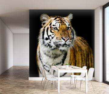 3D Lazy Tiger 179 Wall Murals