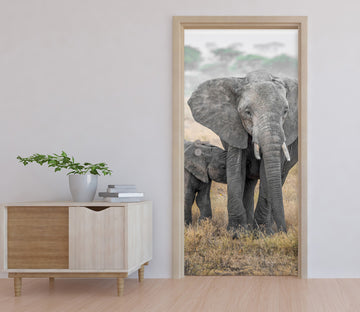 3D Elephant 11515 Marco Carmassi Door Mural