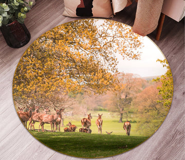 3D Park Antelope 109 Animal Round Non Slip Rug Mat Mat AJ Creativity Home 