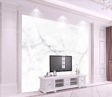 3D Faint White Texture 2161 Wall Murals