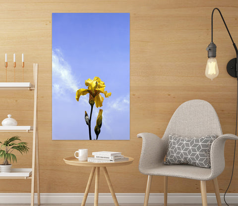 Designer Matthew Holden Bates Wall Sticker collection