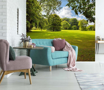 3D Meadow Woods 1446 Wall Murals