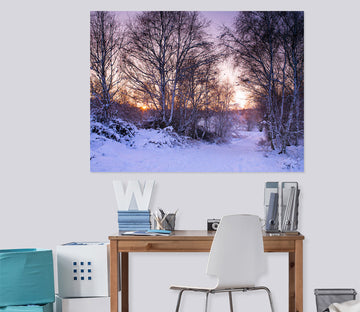 3D Snow Forest 014 Assaf Frank Wall Sticker