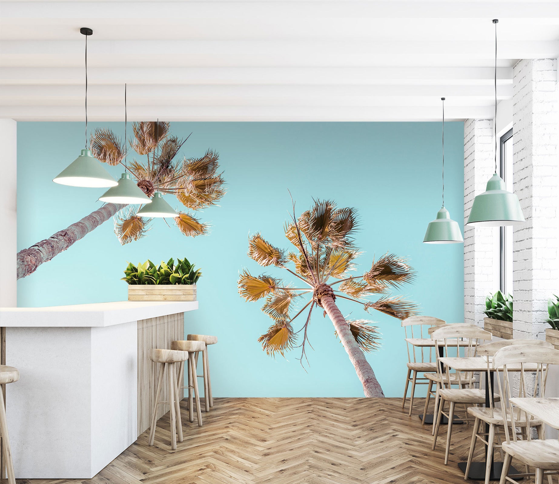 3D Sky Coconut Tree 6250 Assaf Frank Wall Mural Wall Murals