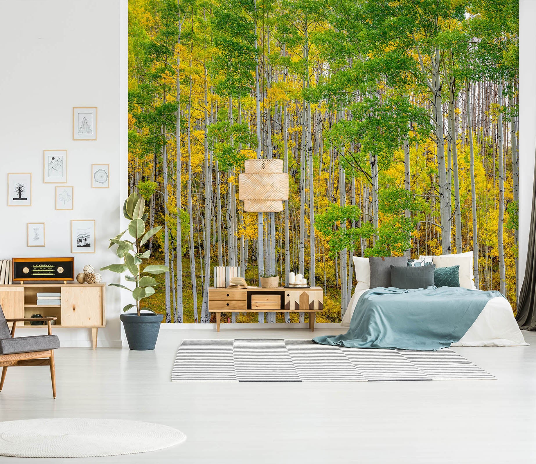 3D Autumn Forest 1436 Marco Carmassi Wall Mural Wall Murals