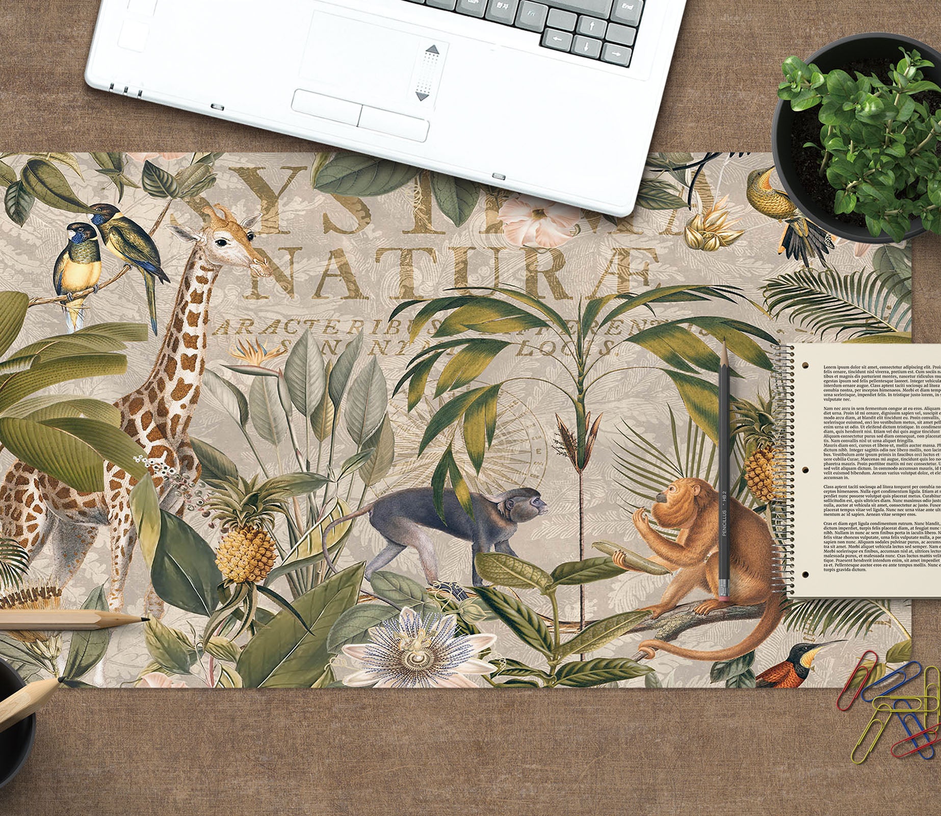 3D Bird Leaves Animal 5240 Andrea Haase Desk Mat