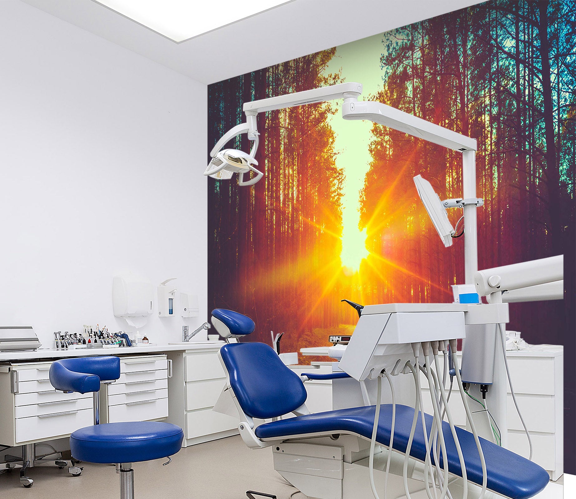 3D Sunset Forest 051 Wall Murals