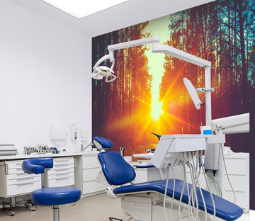 3D Sunset Forest 051 Wall Murals