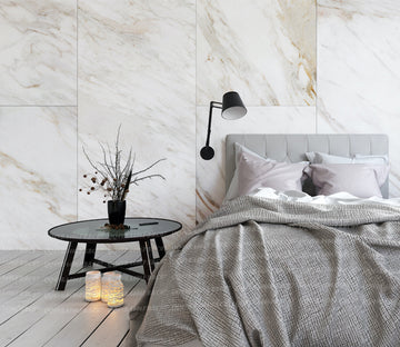 3D White Marble WG199 Wall Murals