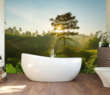 3D Sunshine Forest 126 Wall Murals