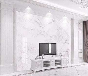 3D Gentle And Delicate Texture 2168 Wall Murals