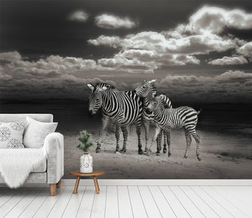 3D Zebra Mother And Child 254 Wallpaper AJ Wallpaper 