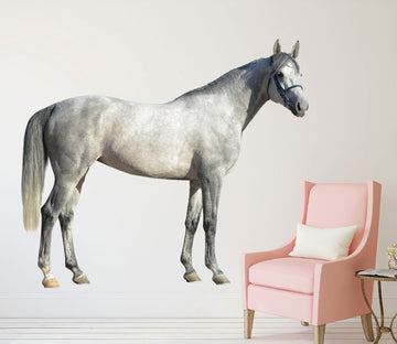 3D White Horse Lurning Head 138 Animals Wall Stickers Wallpaper AJ Wallpaper 
