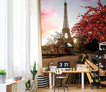 3D Eiffel Tower 047 Wall Murals