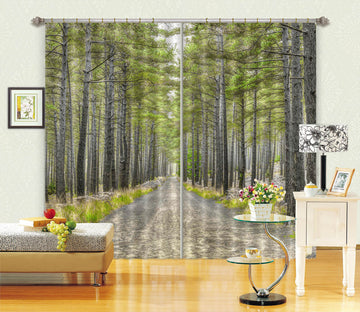 3D Forest Road 234 Assaf Frank Curtain Curtains Drapes