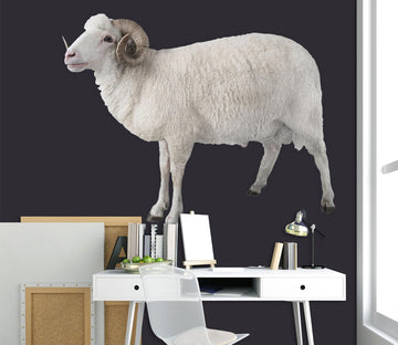 3D Sheep Eating 143 Animals Wall Stickers Wallpaper AJ Wallpaper 