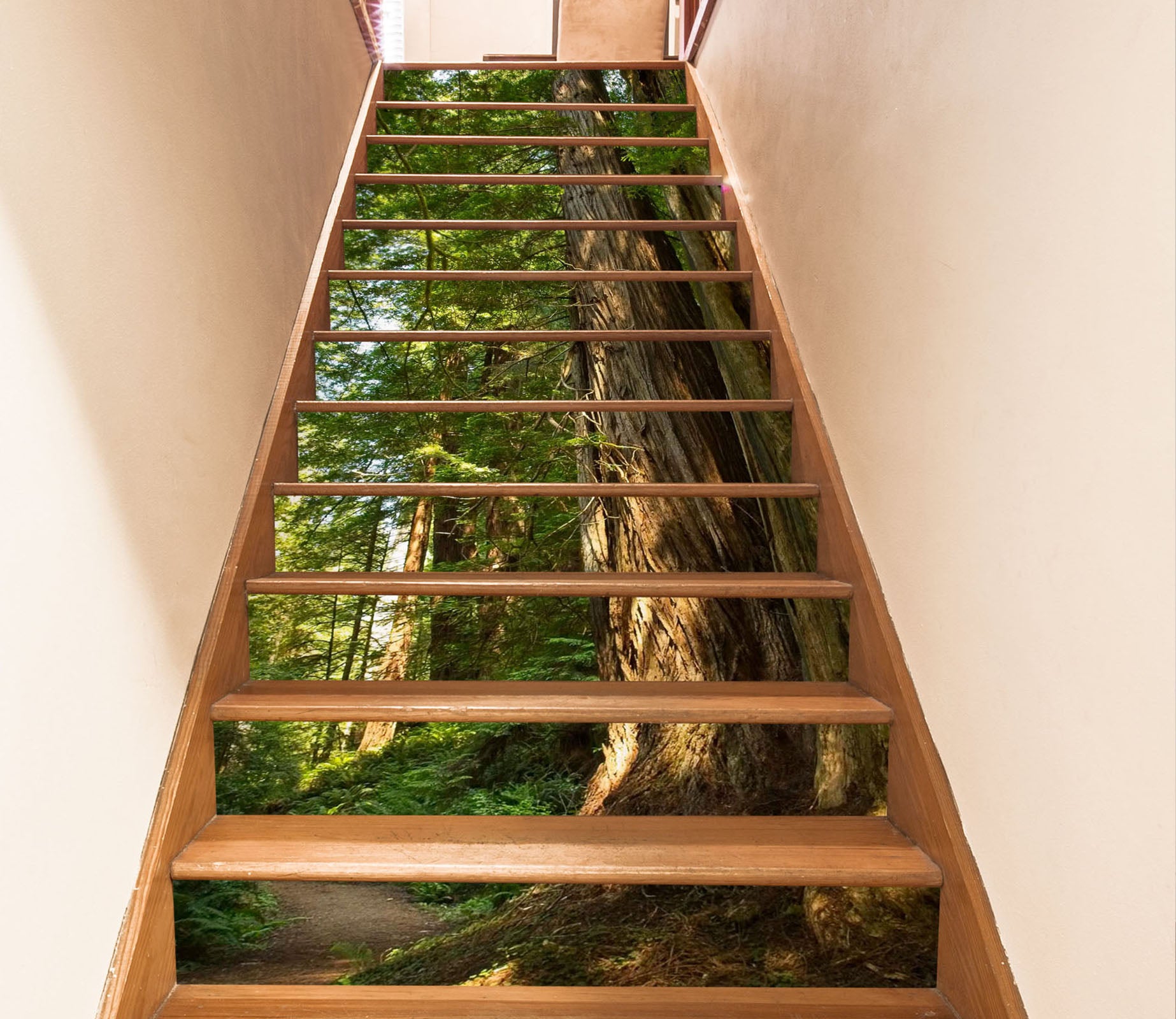 3D Forest 9902 Kathy Barefield Stair Risers