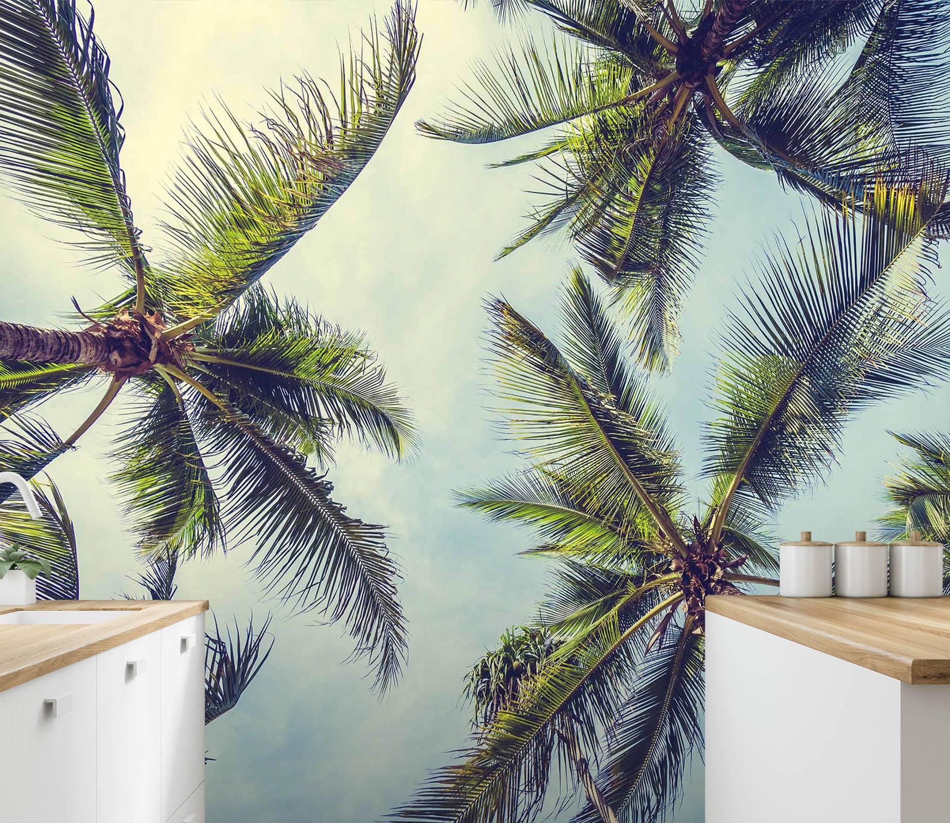 3D Coconut Tree 88 Wall Murals