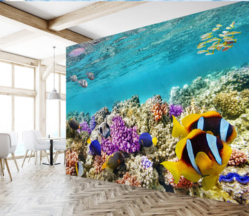 3D Yellow Fish 240 Wall Murals