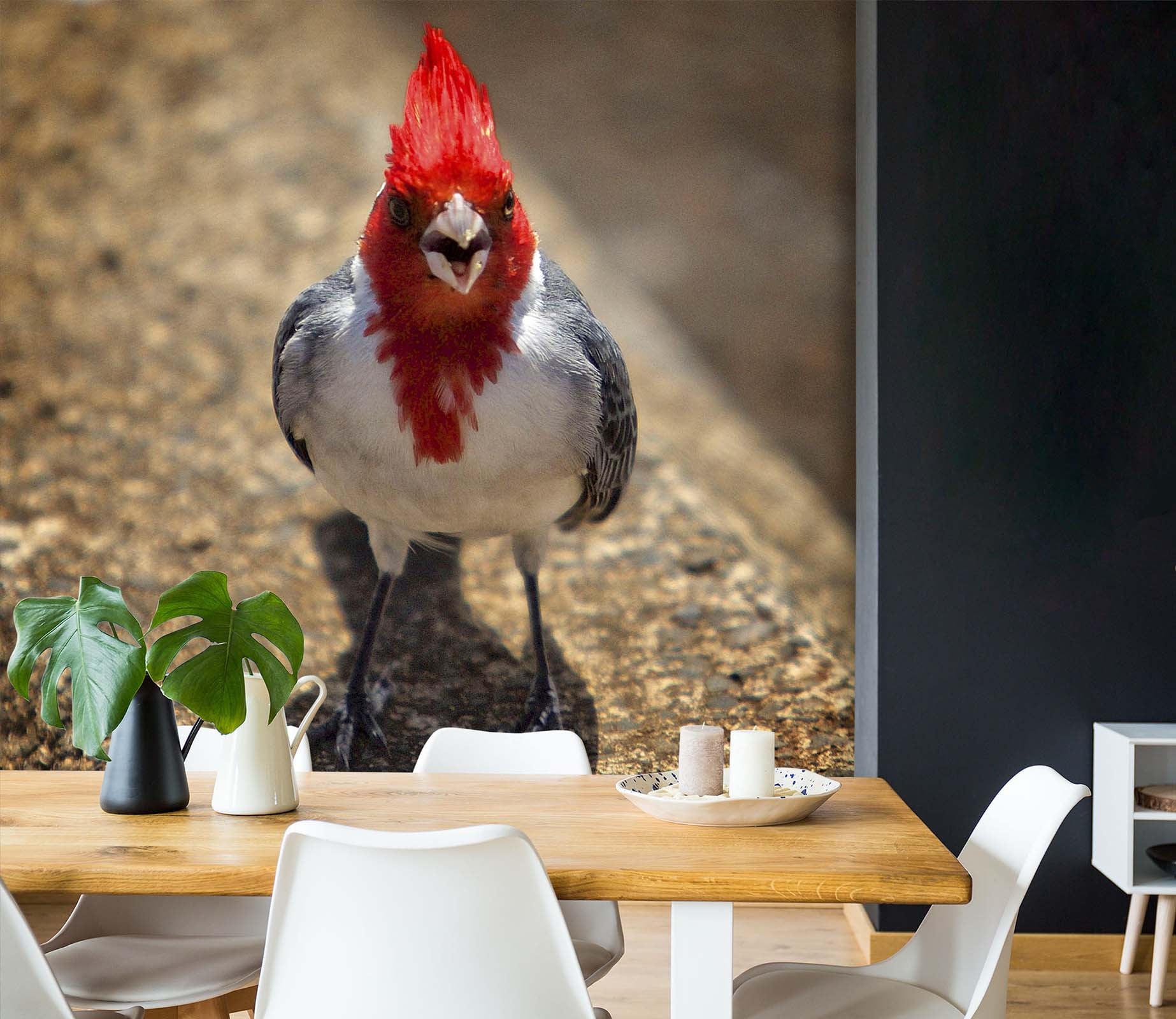 3D Red Bird 1403 Kathy Barefield Wall Mural Wall Murals