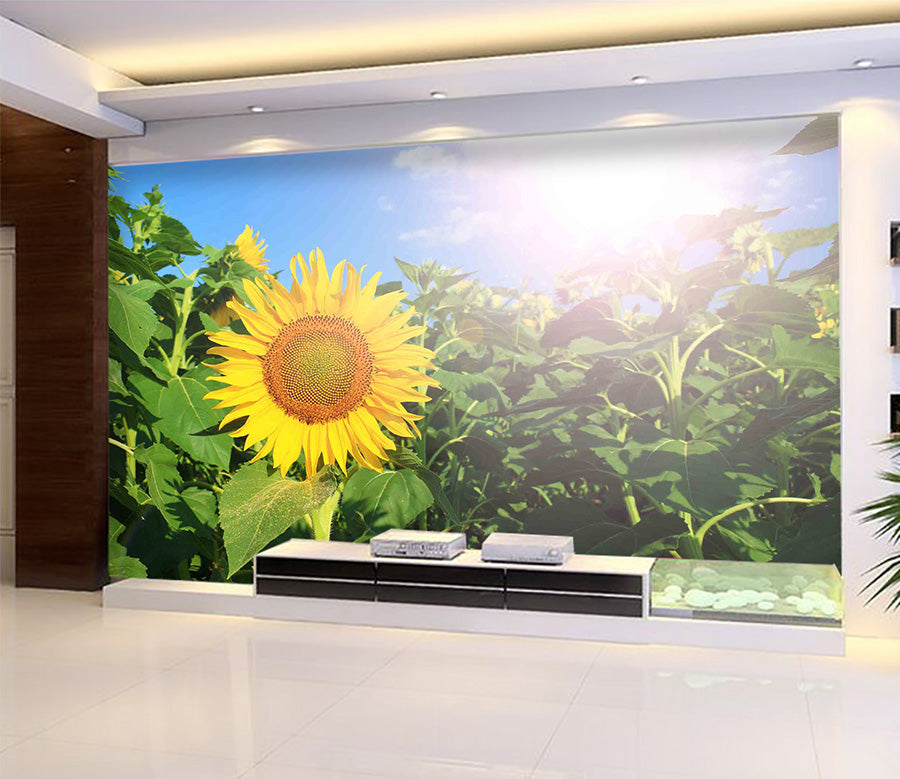 3D Sunflower 1024 Wall Murals