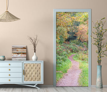 3D Forest Path 5103 Assaf Frank Door Mural