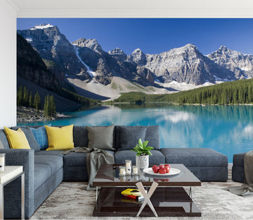 3D Mountain Woods 1502 Wall Murals