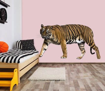 3D Walking Tiger 012 Animals Wall Stickers Wallpaper AJ Wallpaper 