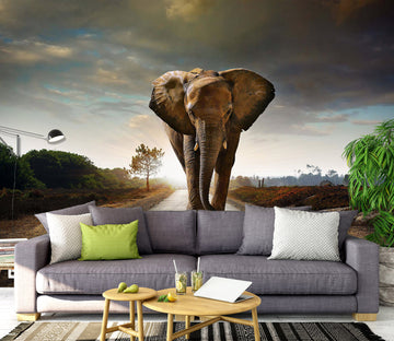 3D Road Elephant 1486 Wall Murals