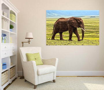 3D Elephant 45 Animal Wall Stickers Wallpaper AJ Wallpaper 2 