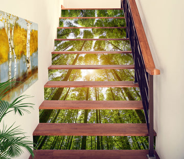 3D Sunlight Between Trees 229 Stair Risers