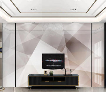 3D Light And Dark 189 Wall Murals