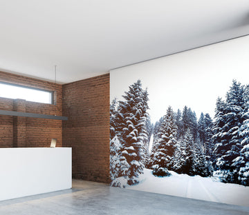 3D White Snow Tree 050 Wall Murals