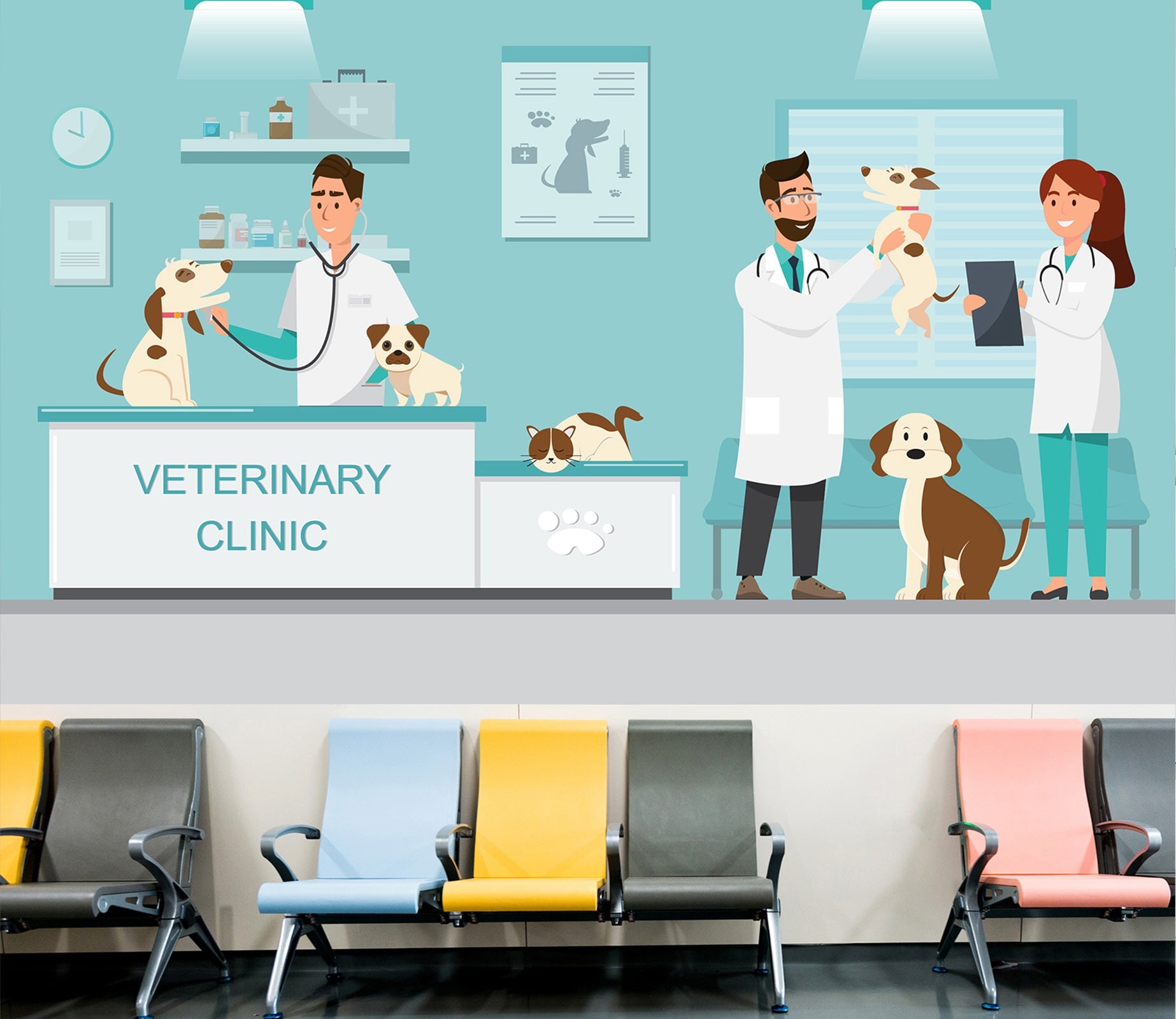 3D Veterinary Dog 039 Wall Murals Wallpaper AJ Wallpaper 2 