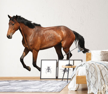 3D Brown Horse Is Running 133 Animals Wall Stickers Wallpaper AJ Wallpaper 