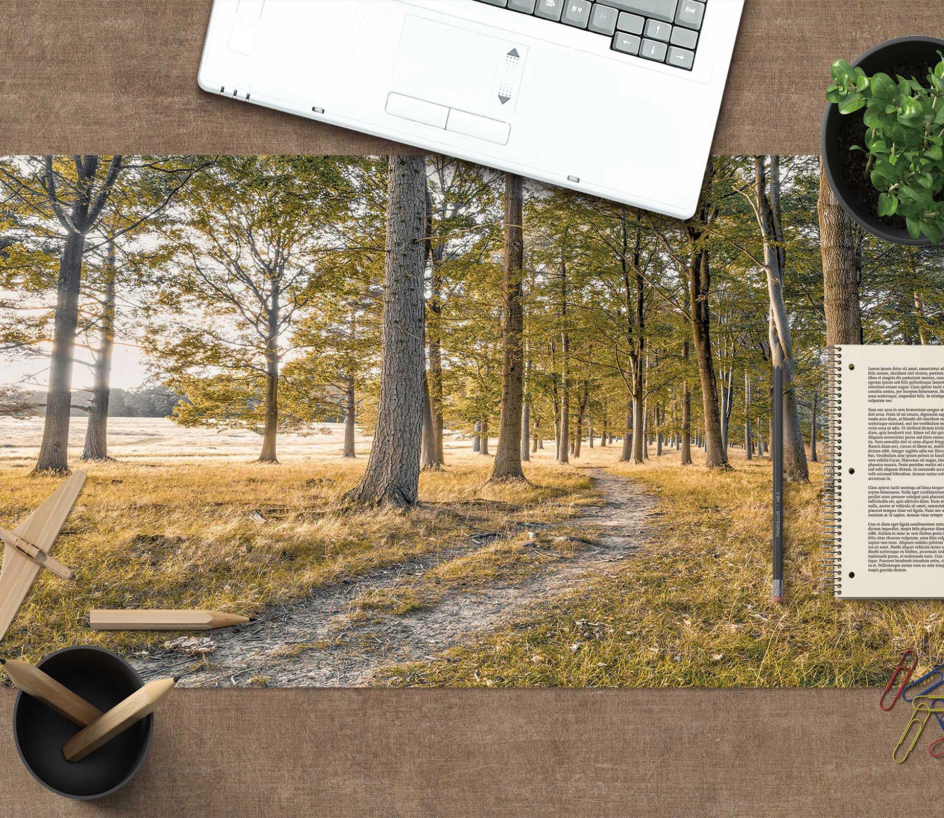 3D Forest 12437 Assaf Frank Desk Mat