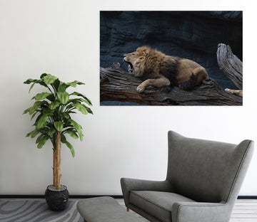 3D Lion Cub 96 Animal Wall Stickers Wallpaper AJ Wallpaper 2 