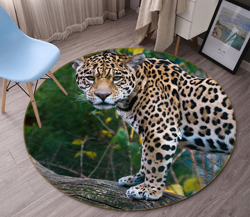 3D Twig Tiger 022 Animal Round Non Slip Rug Mat Mat AJ Creativity Home 