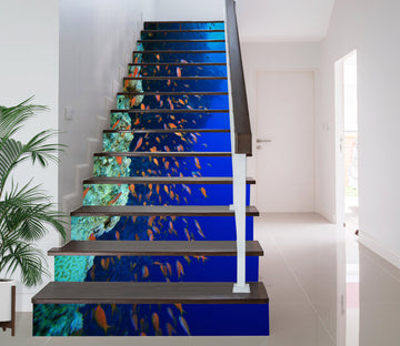 3D Blue Sea Fish School 392 Stair Risers