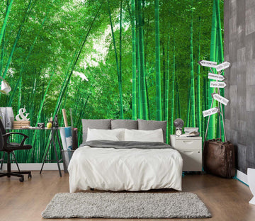 3D Green Bamboo Forest 046 Wall Murals