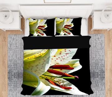 3D Lily 2136 Kathy Barefield Bedding Bed Pillowcases Quilt