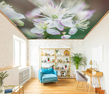 3D Beautiful Flower 2567 Assaf Frank Ceiling Wallpaper Murals