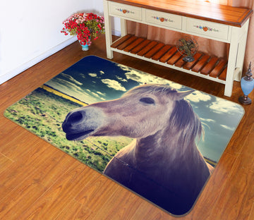 3D Horse Head 092 Animal Non Slip Rug Mat
