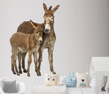 3D Donkey 124 Animals Wall Stickers Wallpaper AJ Wallpaper 