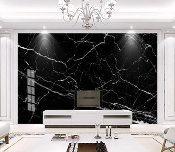 3D Black Delicate Shiny Lines 2260 Wall Murals