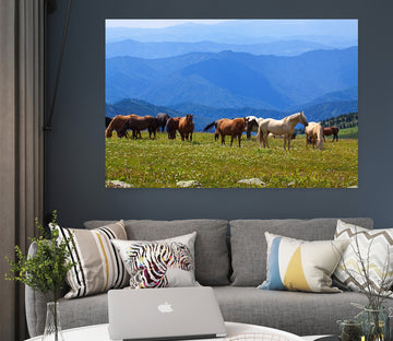 3D Prairie Horse 56 Animal Wall Stickers Wallpaper AJ Wallpaper 2 