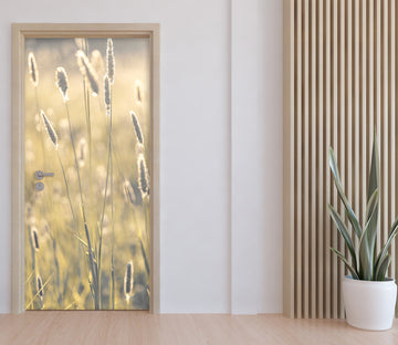 3D Prairie Light 5075 Assaf Frank Door Mural
