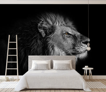 3D Black Lion 273 Wall Murals