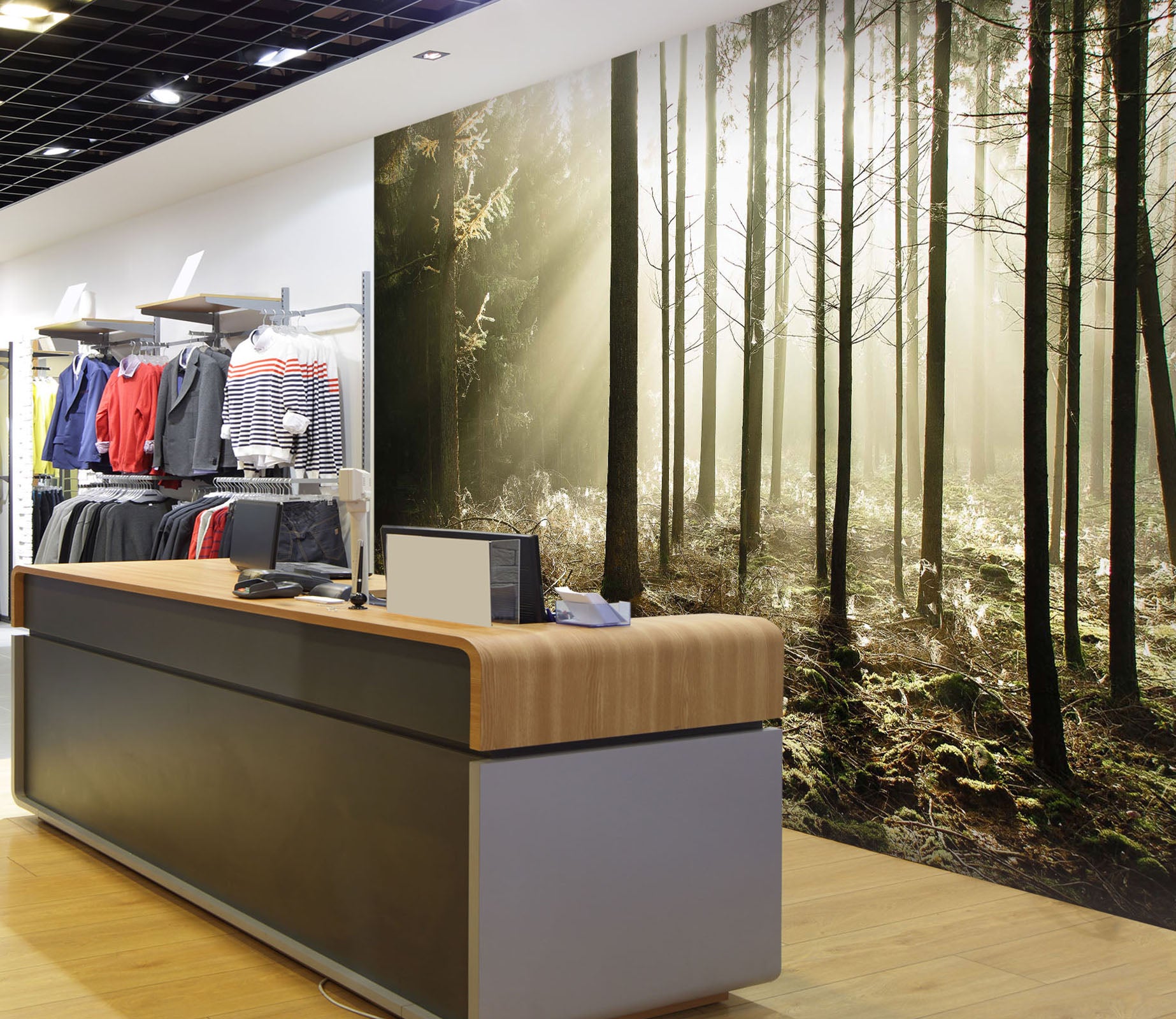 3D Sunshine Forest 128 Wall Murals